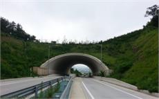 Precast Arches - GreenBridges | Ecoducts | Tunnels