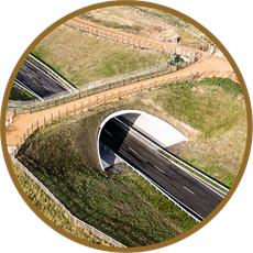 ASSET BEBO® GREEN BRIDGES