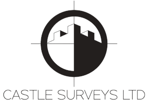 Castle Surveys